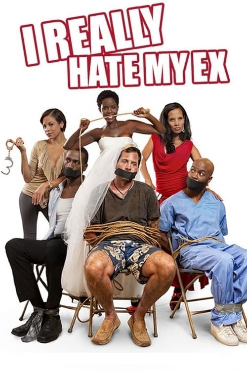 Jaquette I Really Hate My Ex