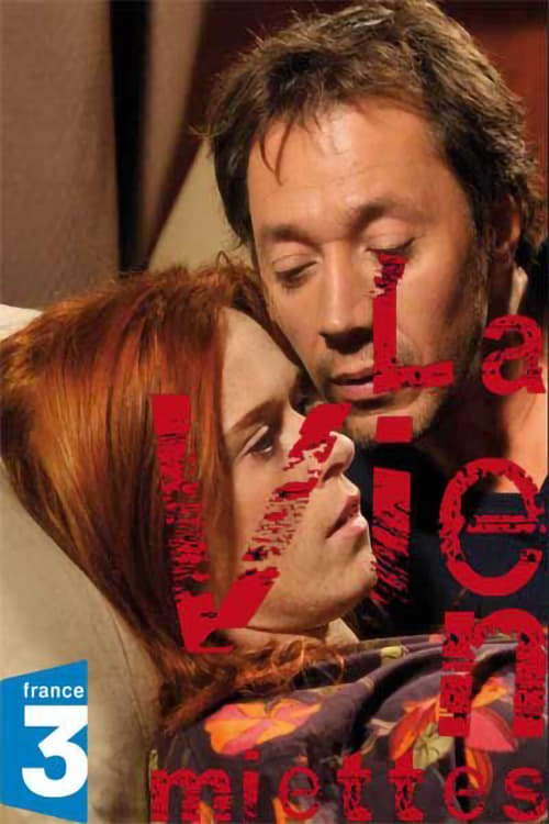 Jaquette La Vie en miettes