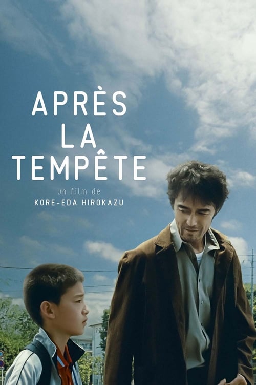 Jaquette Après la tempête
