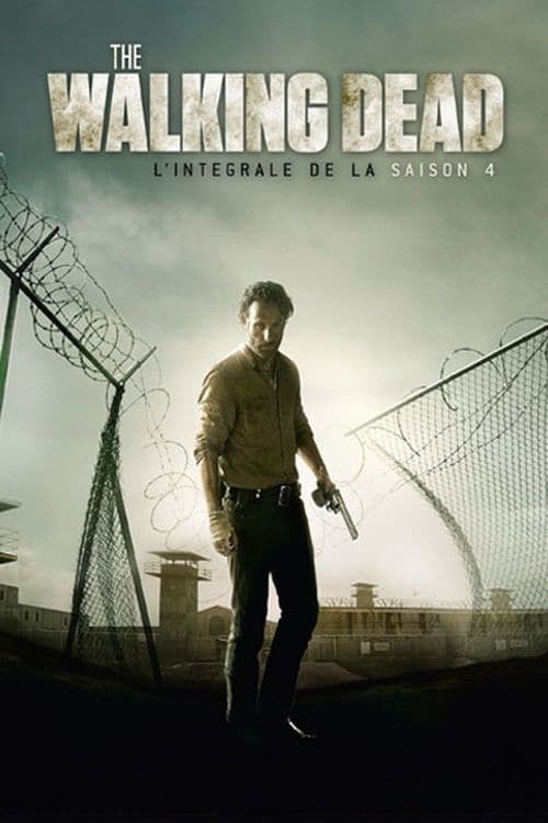Jaquette The Walking Dead