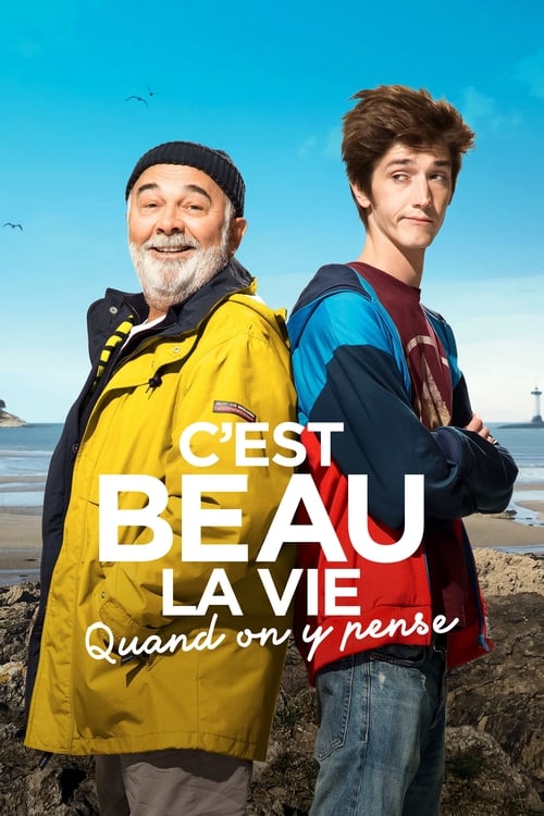 Jaquette C'est beau la vie quand on y pense