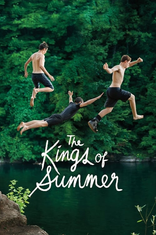 Jaquette The Kings of Summer
