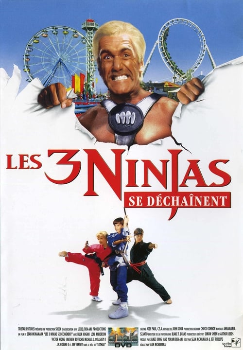 Jaquette Ninja Kids 4 : Les 3 Ninjas se déchaînent