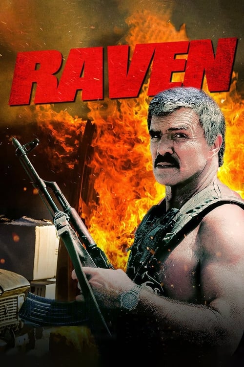 Jaquette Raven