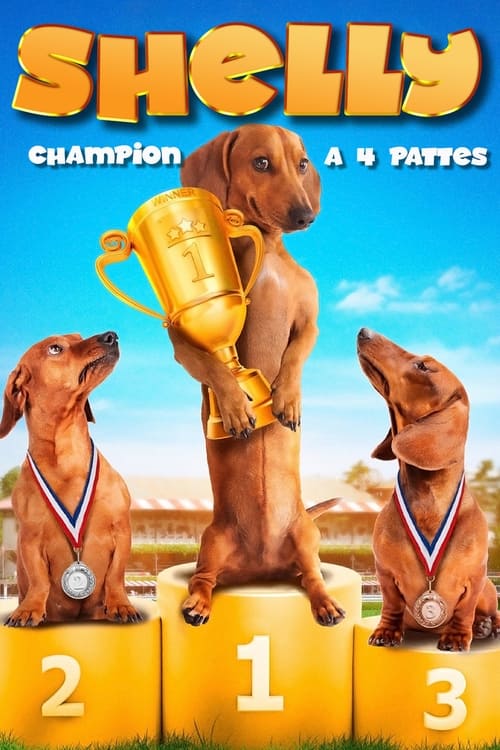 Jaquette Shelly, champion à 4 pattes