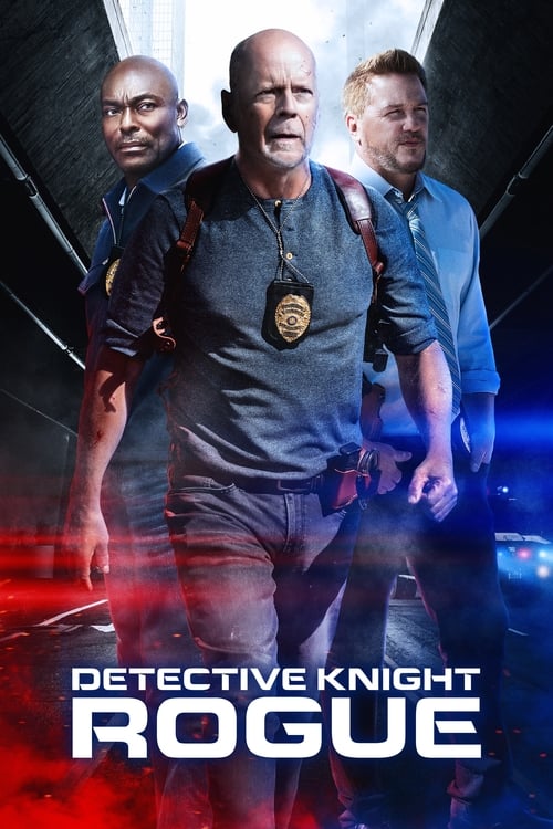 Jaquette Detective Knight: Rogue