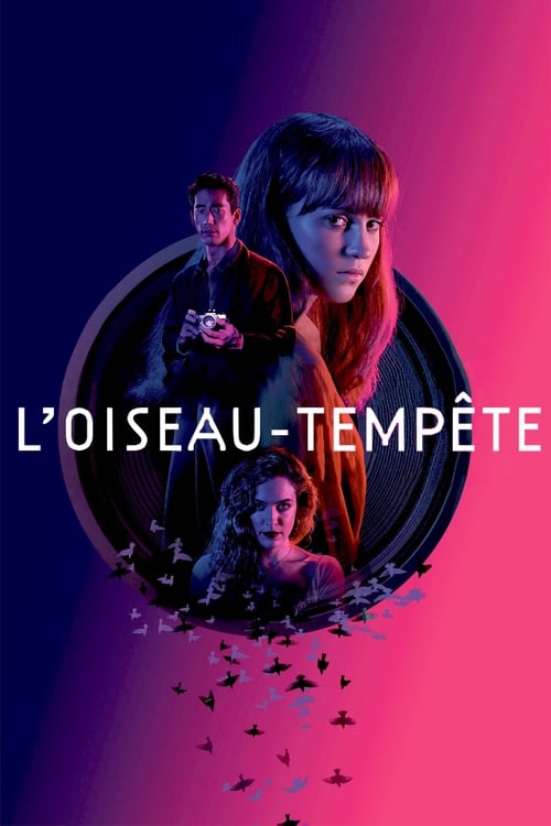 Jaquette L'Oiseau-tempête