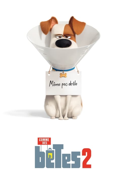 Jaquette Comme des bêtes 2