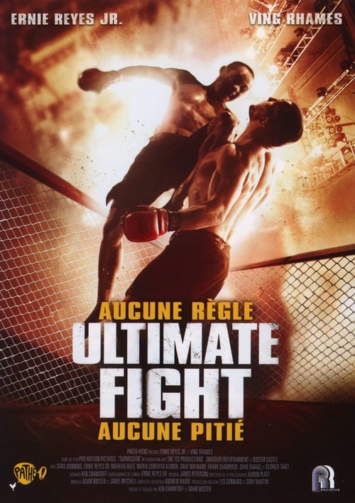 Jaquette Ultimate Fight