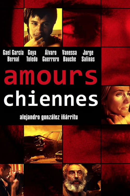 Jaquette Amours chiennes