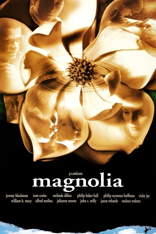 Jaquette Magnolia