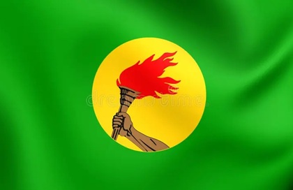 Drapeau ZAÏRE